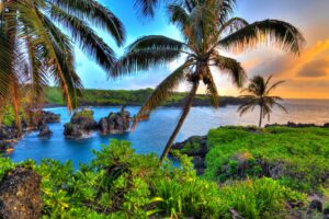 Read more about the article Fly to Hawaii from multiple US cities for as little as $237