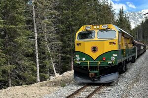 Read more about the article Skagway’s White Pass Railway cruise excursions in Alaska: All you need to know