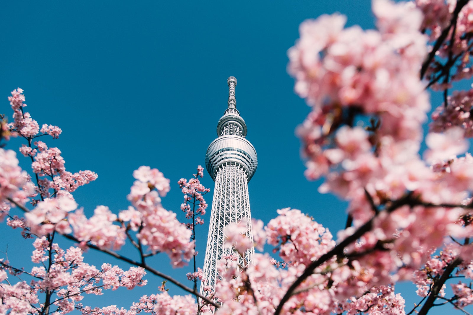 Read more about the article Jump on this: Air France has flights to Japan from 53,000 points round-trip