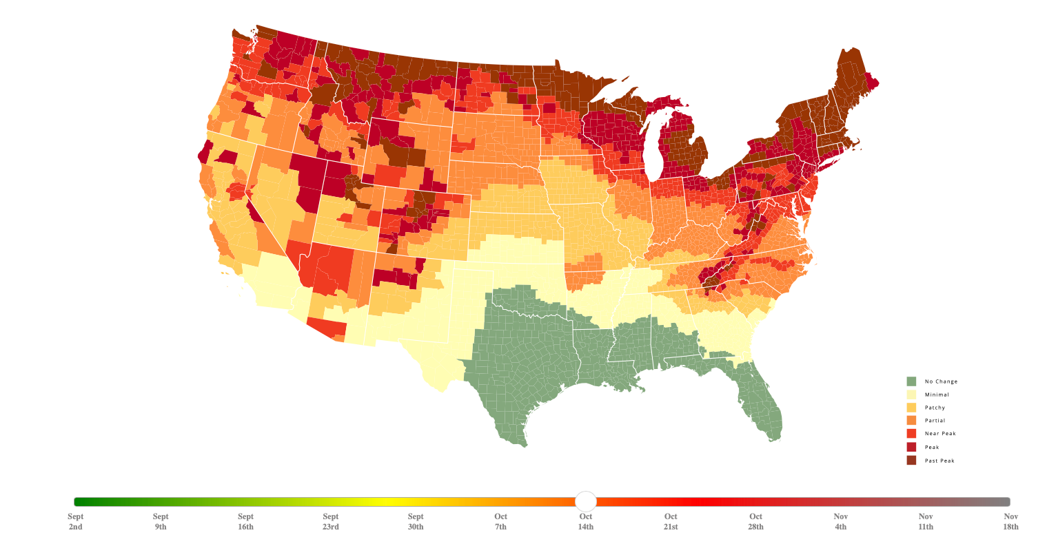 You are currently viewing Peak leaf-peeping season is here: Where to see spectacular fall foliage across the US in 2024