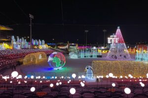 Read more about the article Our guide to 13 of the best holiday light shows in the US