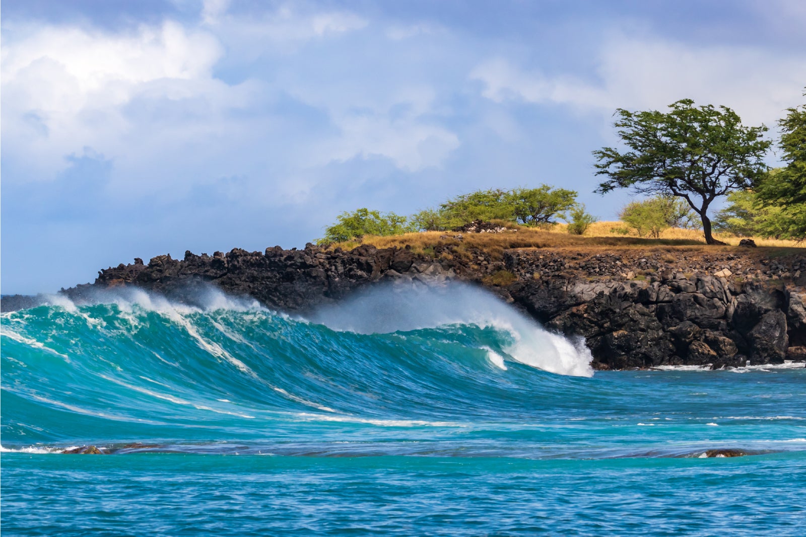 Read more about the article Delta Air Lines announces new Hawaii route from its Salt Lake City hub and more flights next winter
