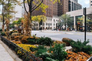 Read more about the article Here’s what I love about Chicago, and why you should go now