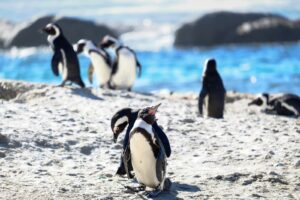 Read more about the article The 10 best places to travel in January 2026