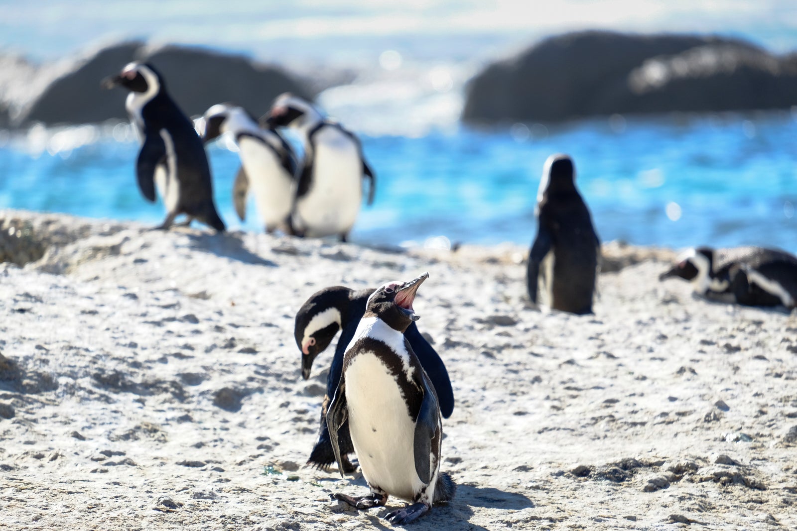 You are currently viewing The 10 best places to travel in January 2026