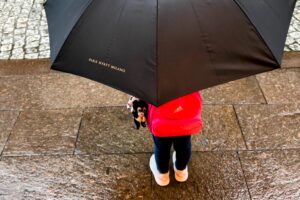 Read more about the article Buying points and miles saved me over $1,000 on flights and a hotel stay