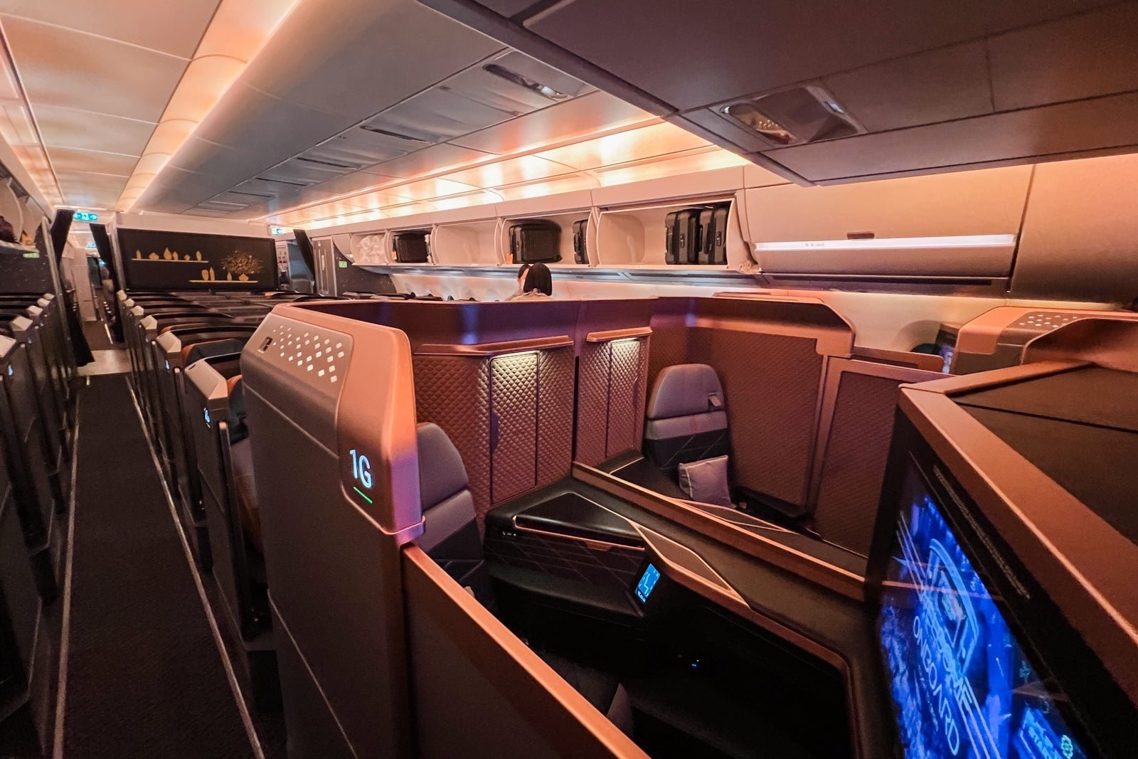 You are currently viewing American Airlines expands Starlux partnership with new codeshare agreement