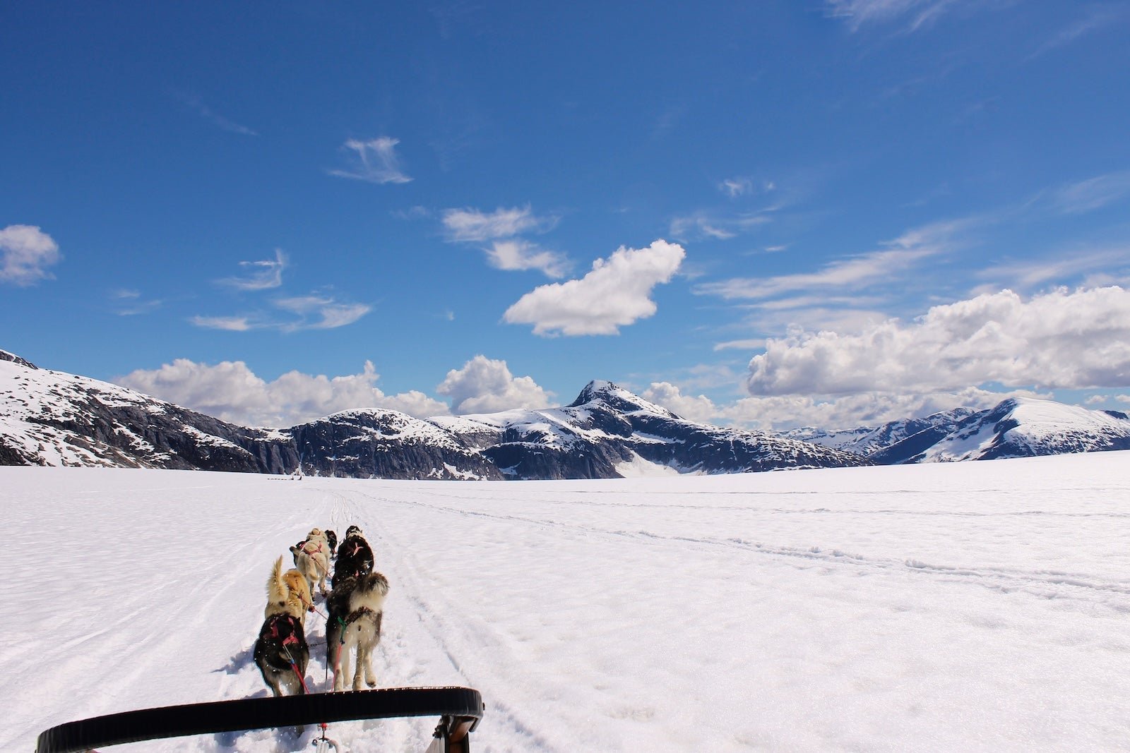 Read more about the article 6 once-in-a-lifetime Alaska shore excursions worth the splurge
